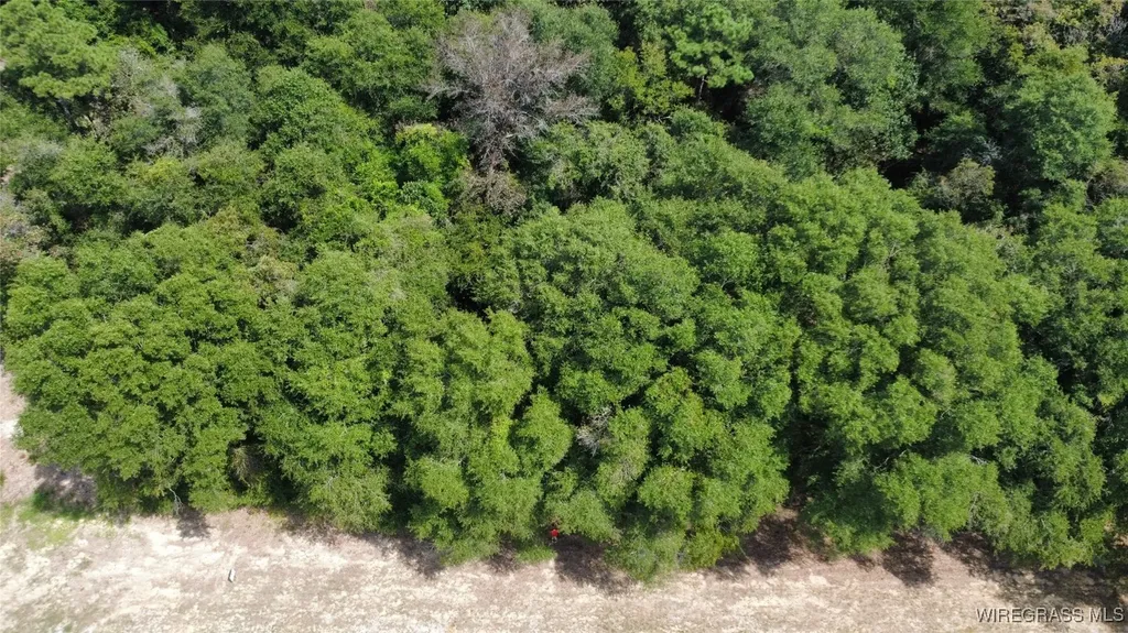 2 County Road 61 Ozark AL 36360