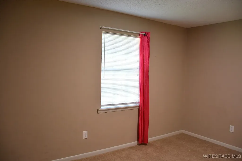 1908 County Road 349 Elba AL 36323