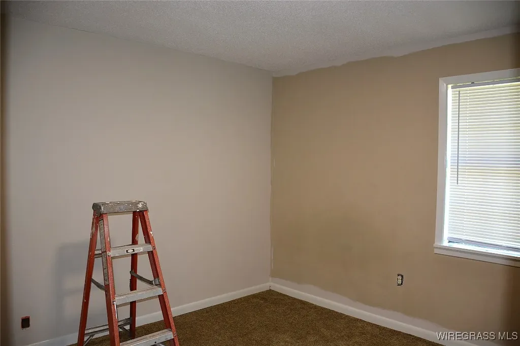 1908 County Road 349 Elba AL 36323