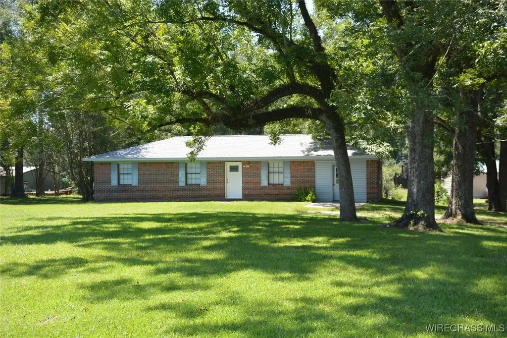 1908 County Road 349 Elba AL 36323