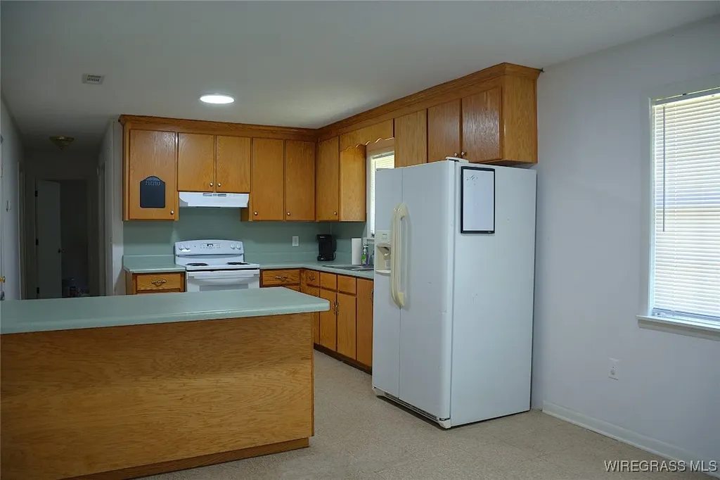 1908 County Road 349 Elba AL 36323