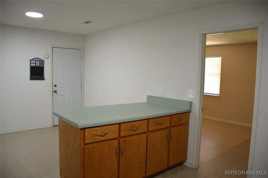 1908 County Road 349 Elba AL 36323