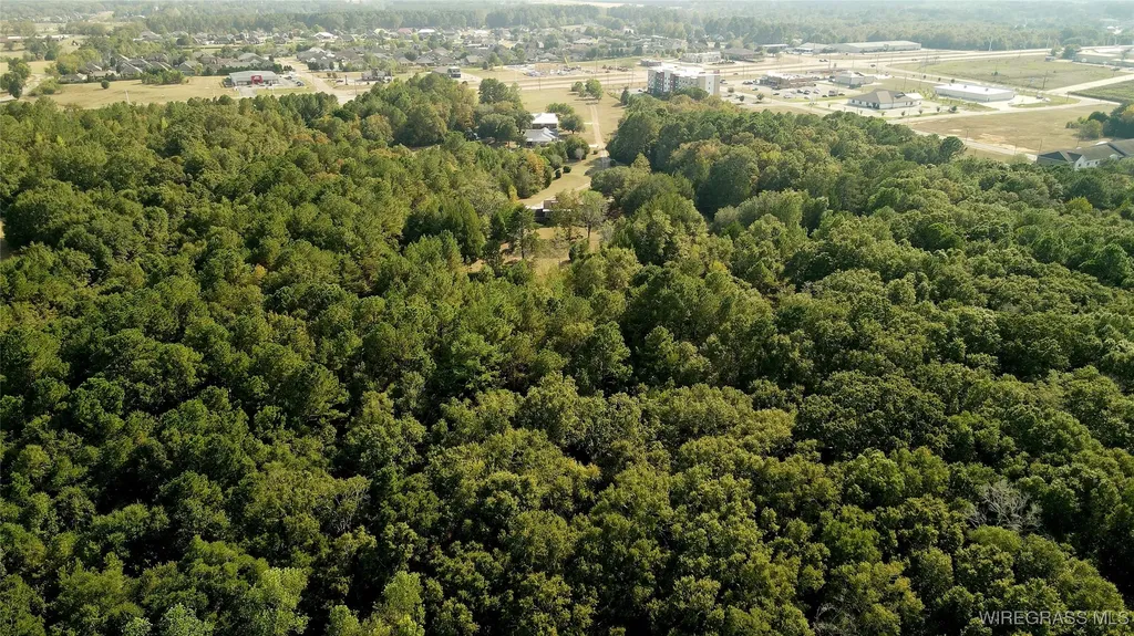 158 Boll Weevil Circle Enterprise AL 36330