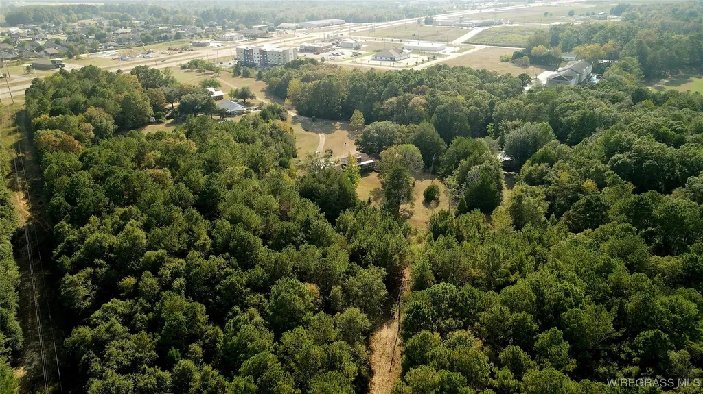 158 Boll Weevil Circle Enterprise AL 36330