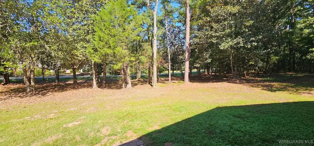 318 Doe Run Road Ozark AL 36360