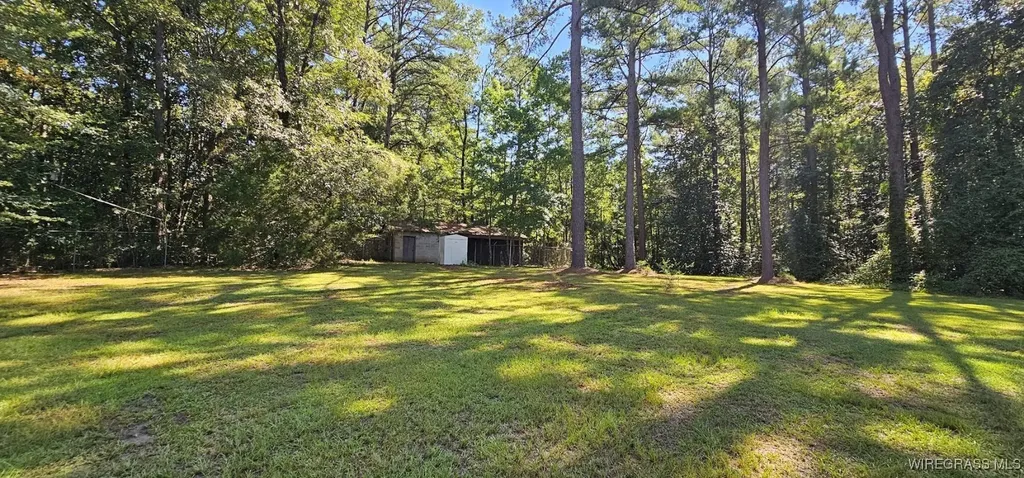 318 Doe Run Road Ozark AL 36360