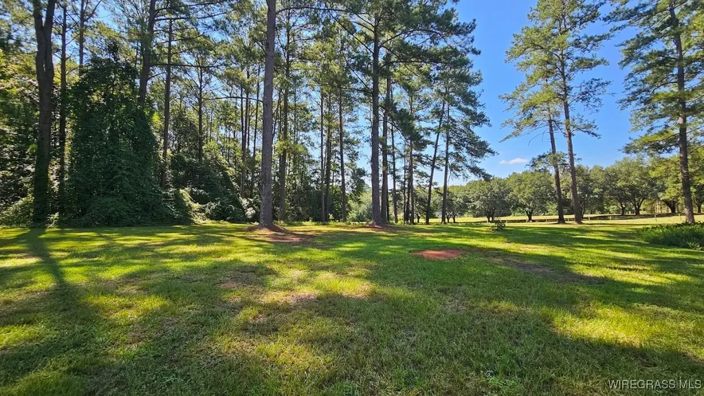 318 Doe Run Road Ozark AL 36360