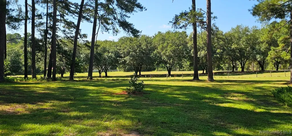 318 Doe Run Road Ozark AL 36360