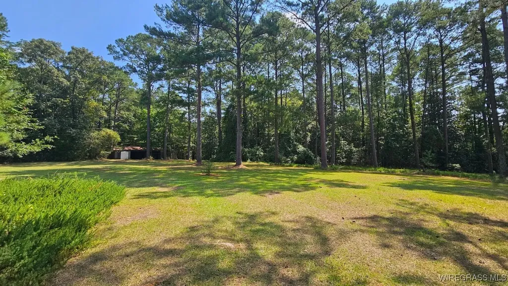 318 Doe Run Road Ozark AL 36360