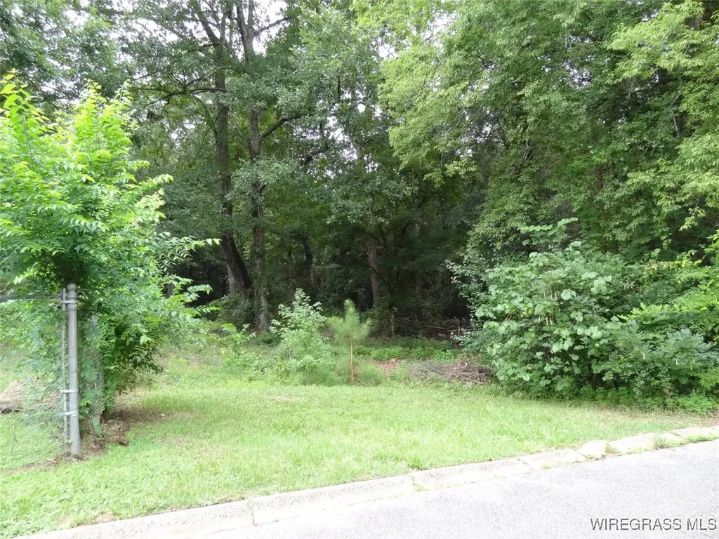 102 Baxter Street Daleville AL 36322