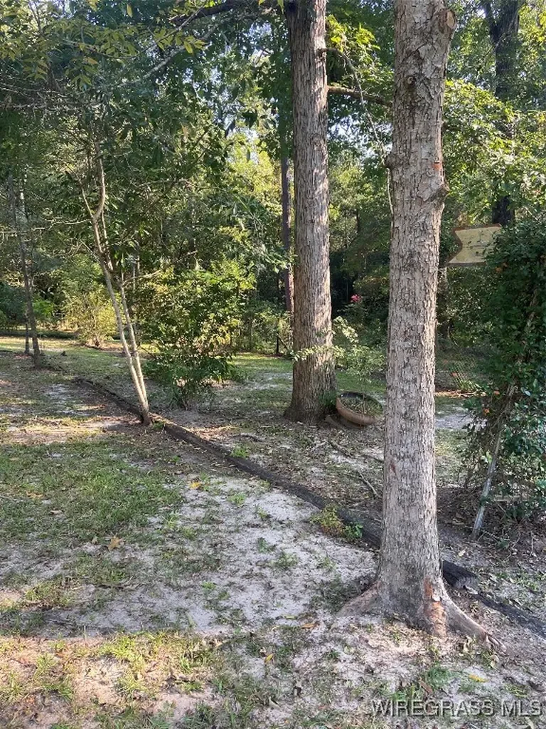 102 Baxter Street Daleville AL 36322