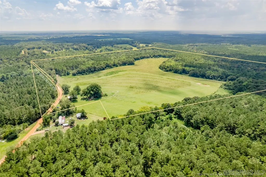 741 Double Creek Road Coffee Springs AL 36318