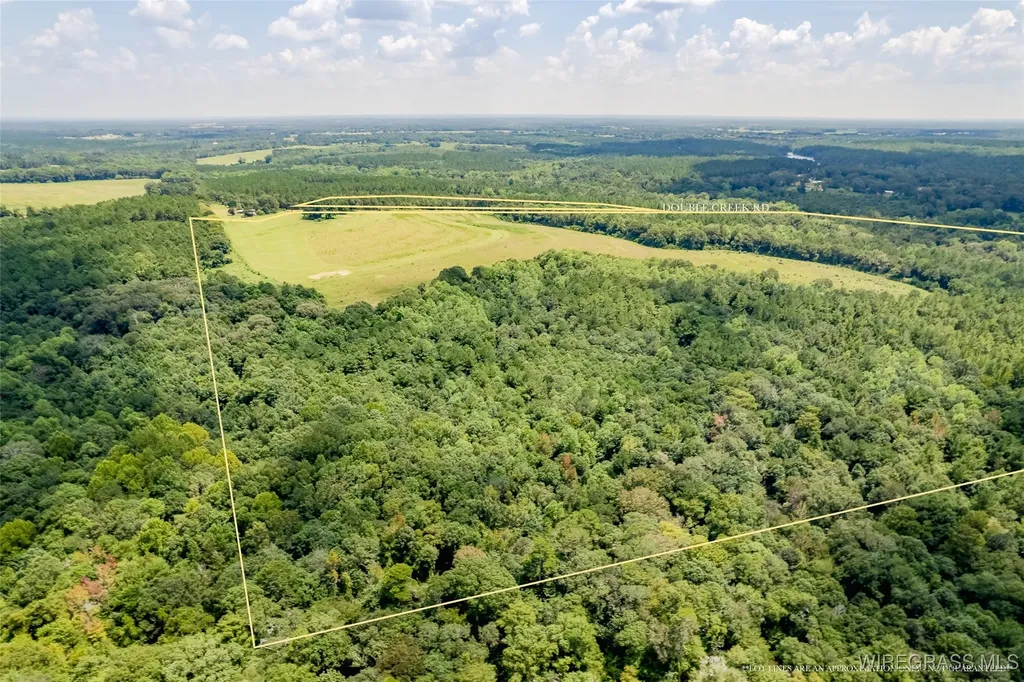 741 Double Creek Road Coffee Springs AL 36318