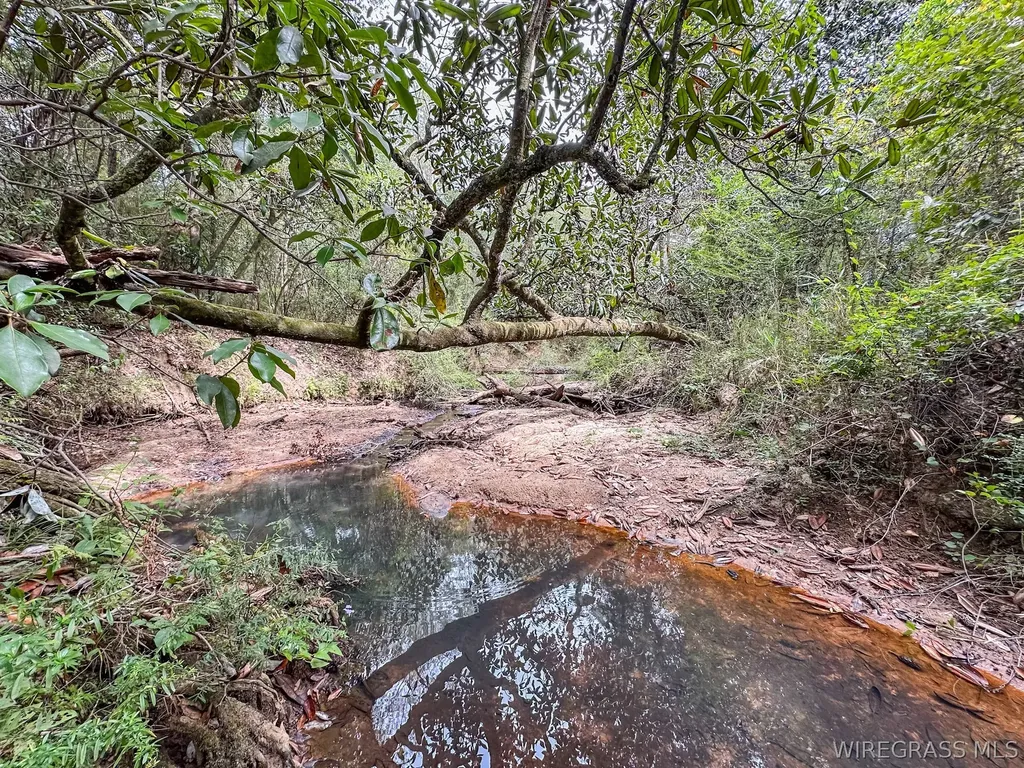 741 Double Creek Road Coffee Springs AL 36318