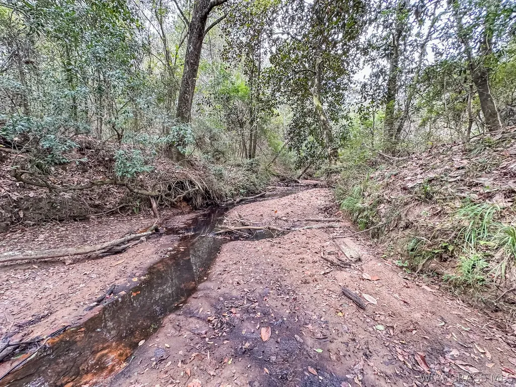 741 Double Creek Road Coffee Springs AL 36318