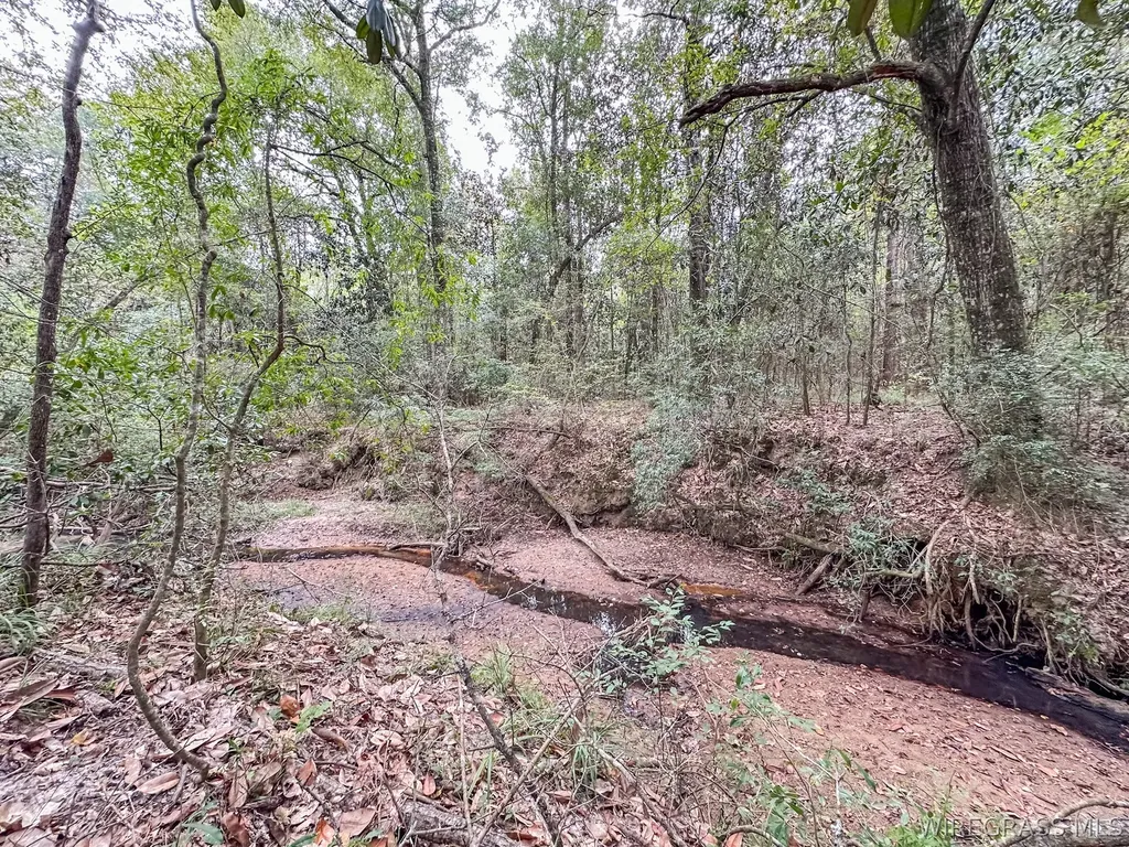 741 Double Creek Road Coffee Springs AL 36318