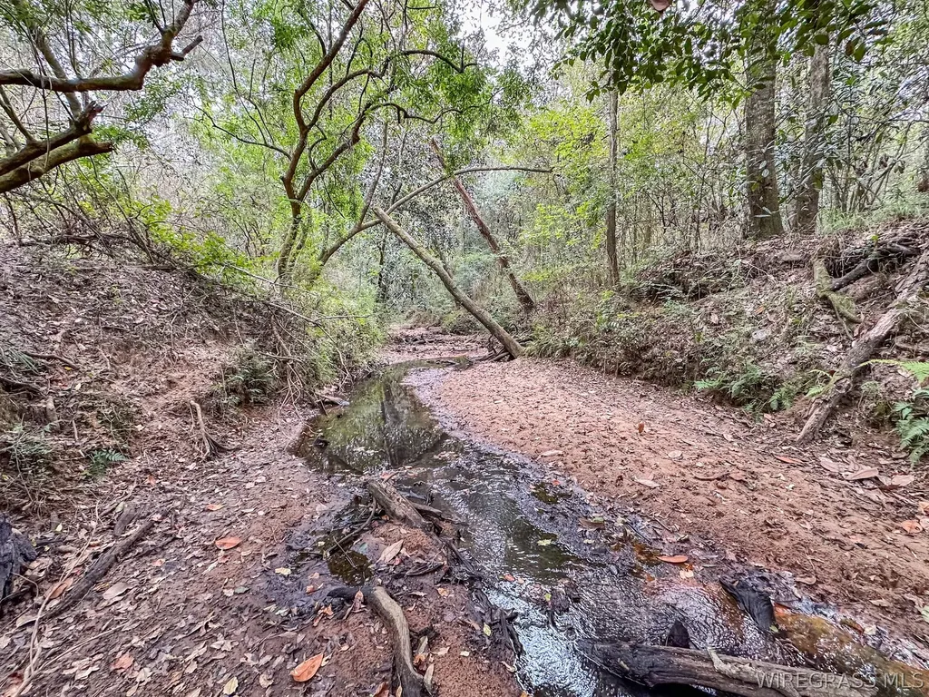 741 Double Creek Road Coffee Springs AL 36318