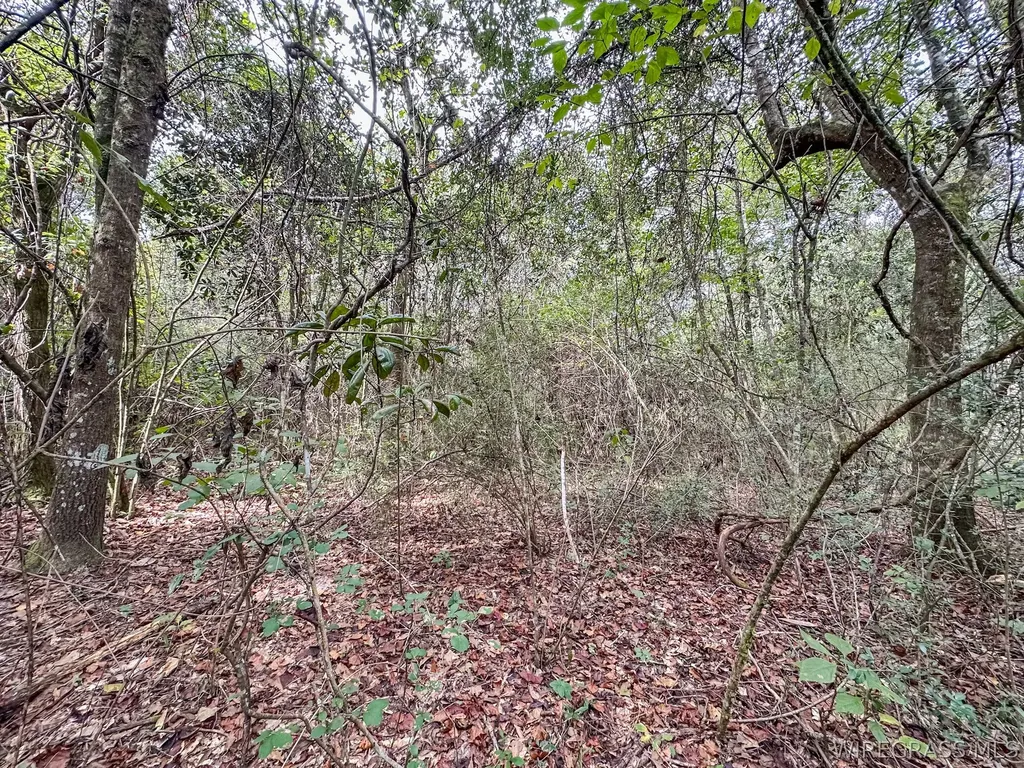 741 Double Creek Road Coffee Springs AL 36318