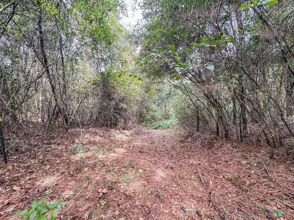 741 Double Creek Road Coffee Springs AL 36318