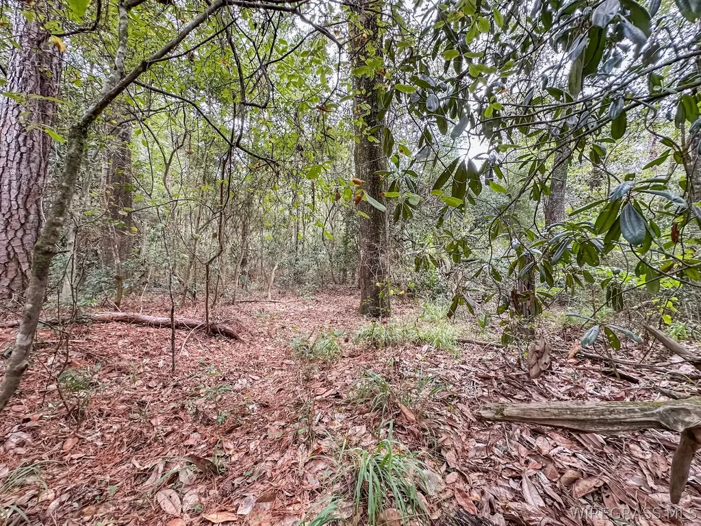 741 Double Creek Road Coffee Springs AL 36318