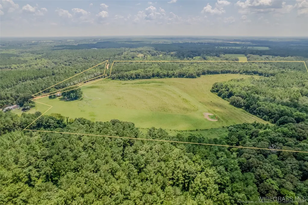 741 Double Creek Road Coffee Springs AL 36318
