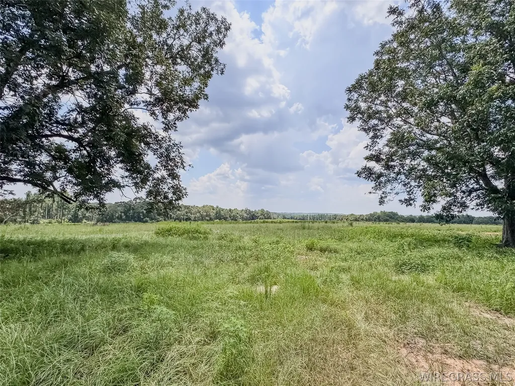 741 Double Creek Road Coffee Springs AL 36318