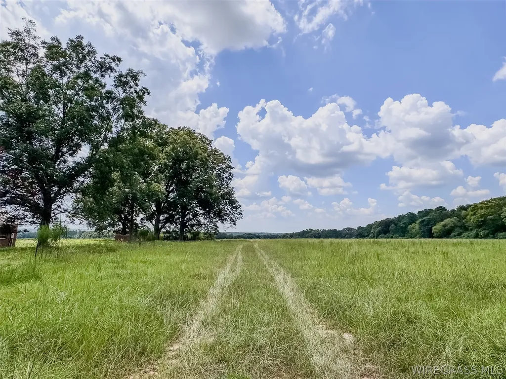 741 Double Creek Road Coffee Springs AL 36318