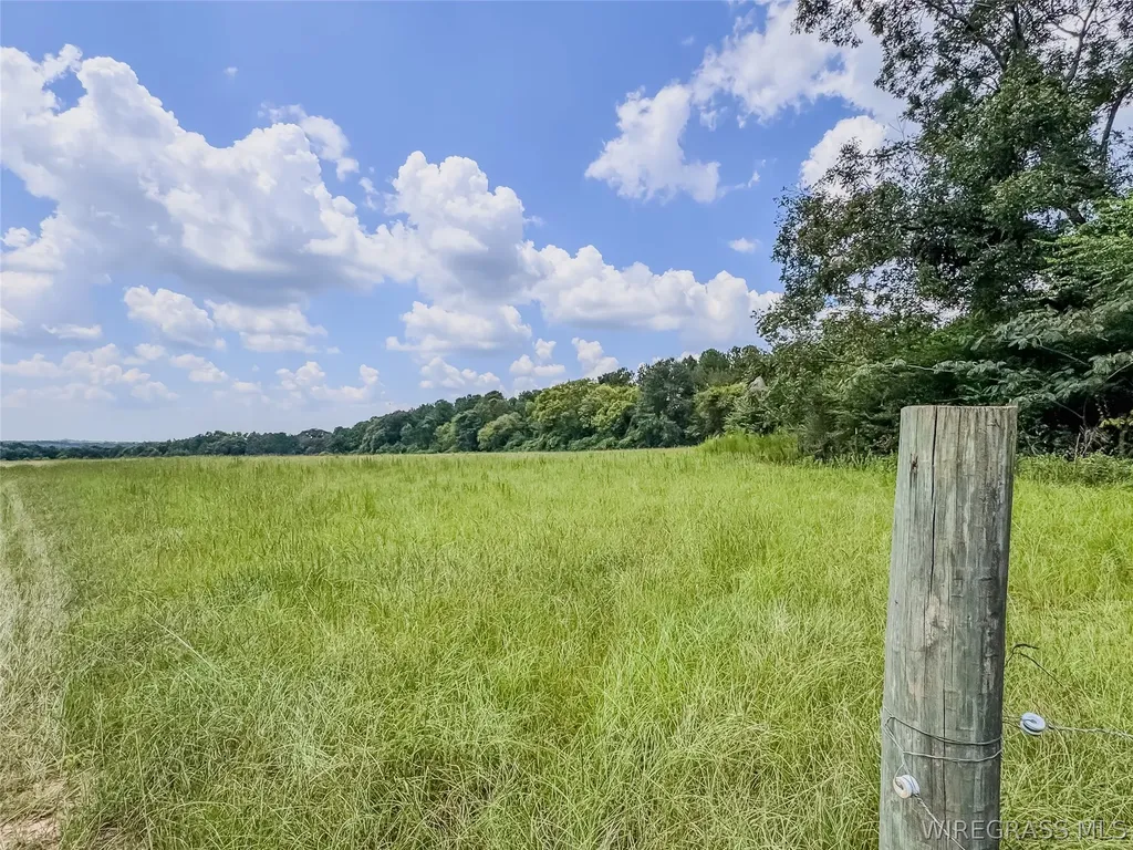 741 Double Creek Road Coffee Springs AL 36318