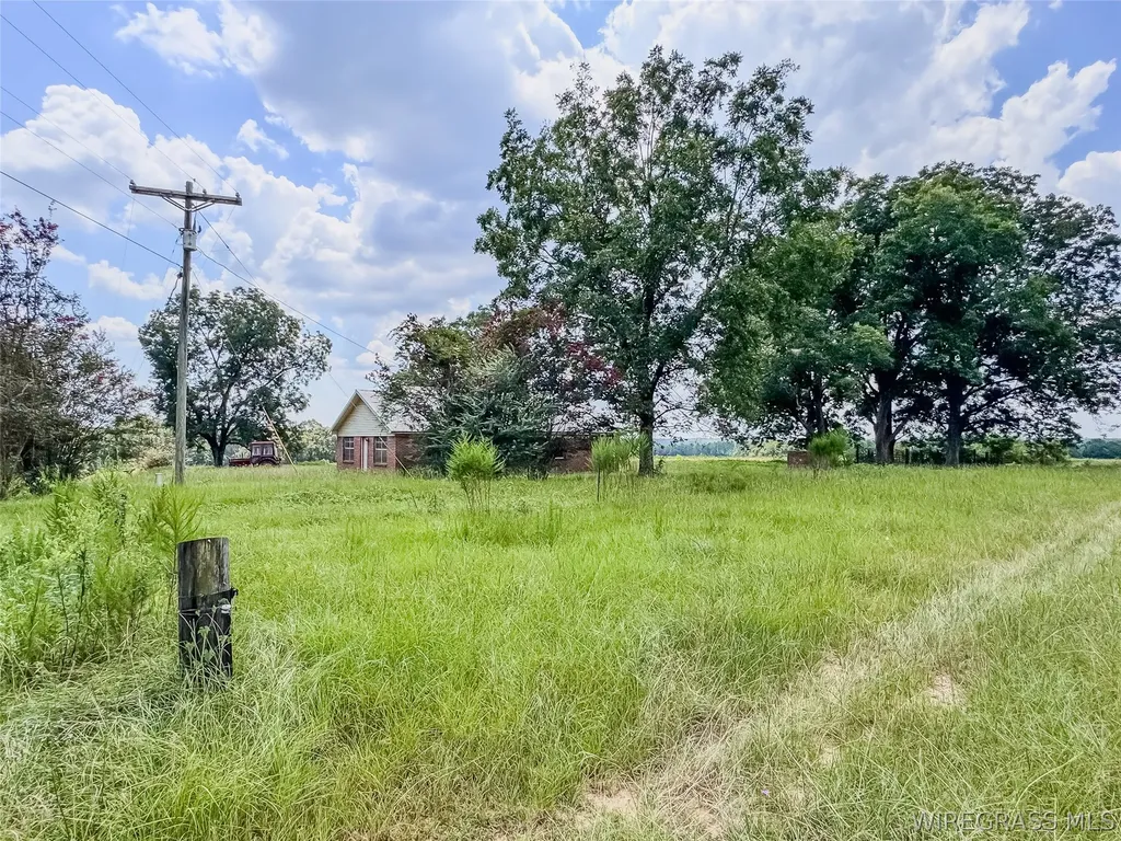 741 Double Creek Road Coffee Springs AL 36318