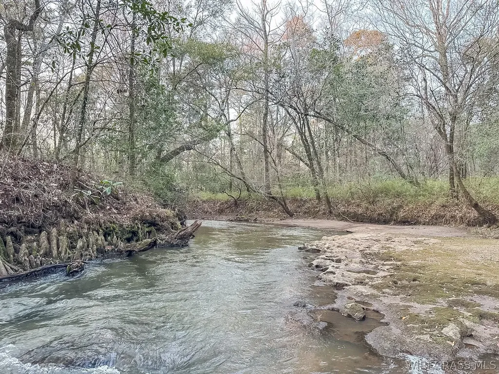 741 Double Creek Road Coffee Springs AL 36318