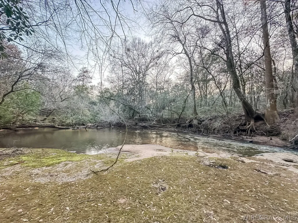 741 Double Creek Road Coffee Springs AL 36318
