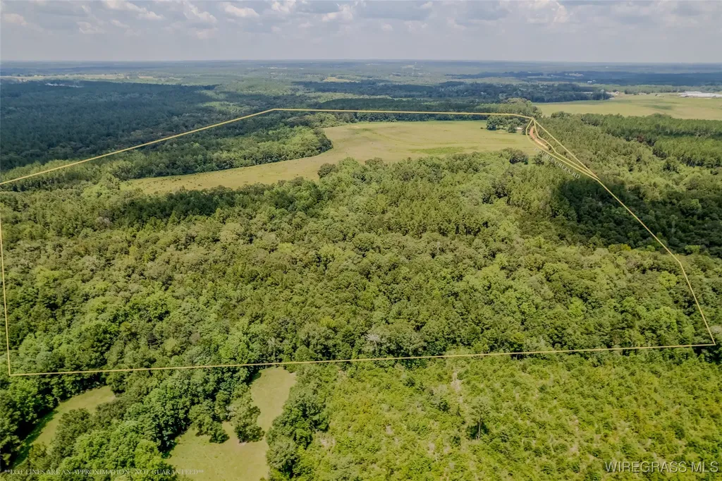 741 Double Creek Road Coffee Springs AL 36318