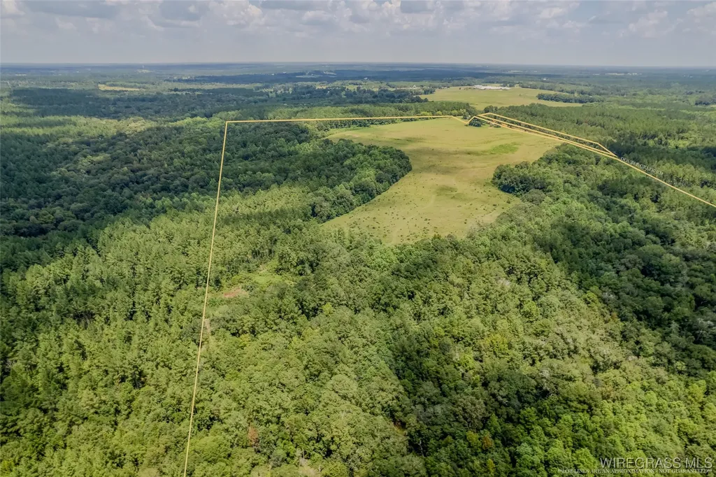 741 Double Creek Road Coffee Springs AL 36318