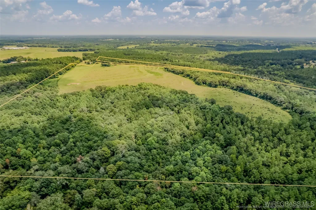 741 Double Creek Road Coffee Springs AL 36318