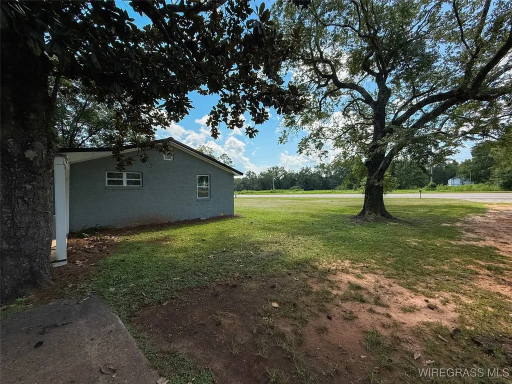 16268 W State Highway 52 Kinston AL 36453