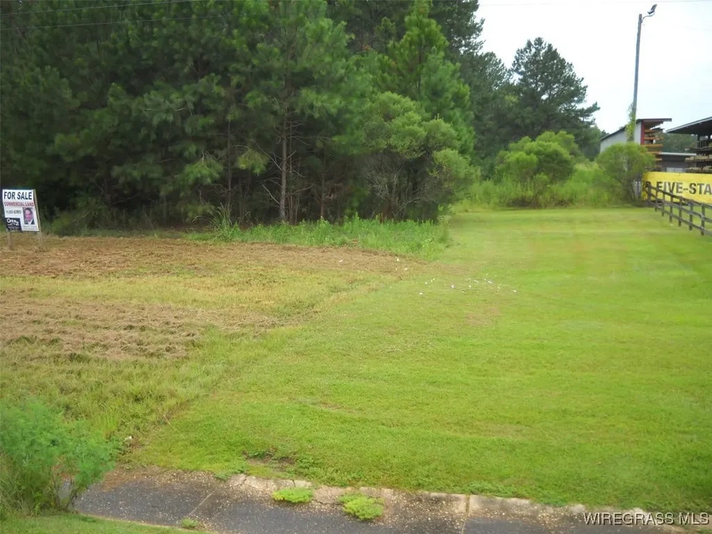 0 Highway 231 Ozark AL 36360