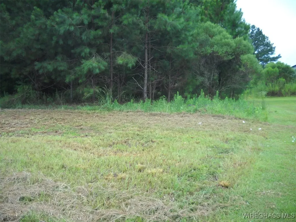 0 Highway 231 Ozark AL 36360
