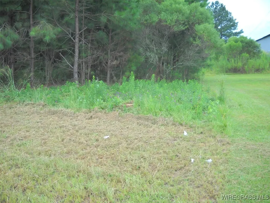 0 Highway 231 Ozark AL 36360
