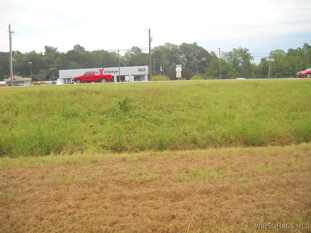 0 Highway 231 Ozark AL 36360