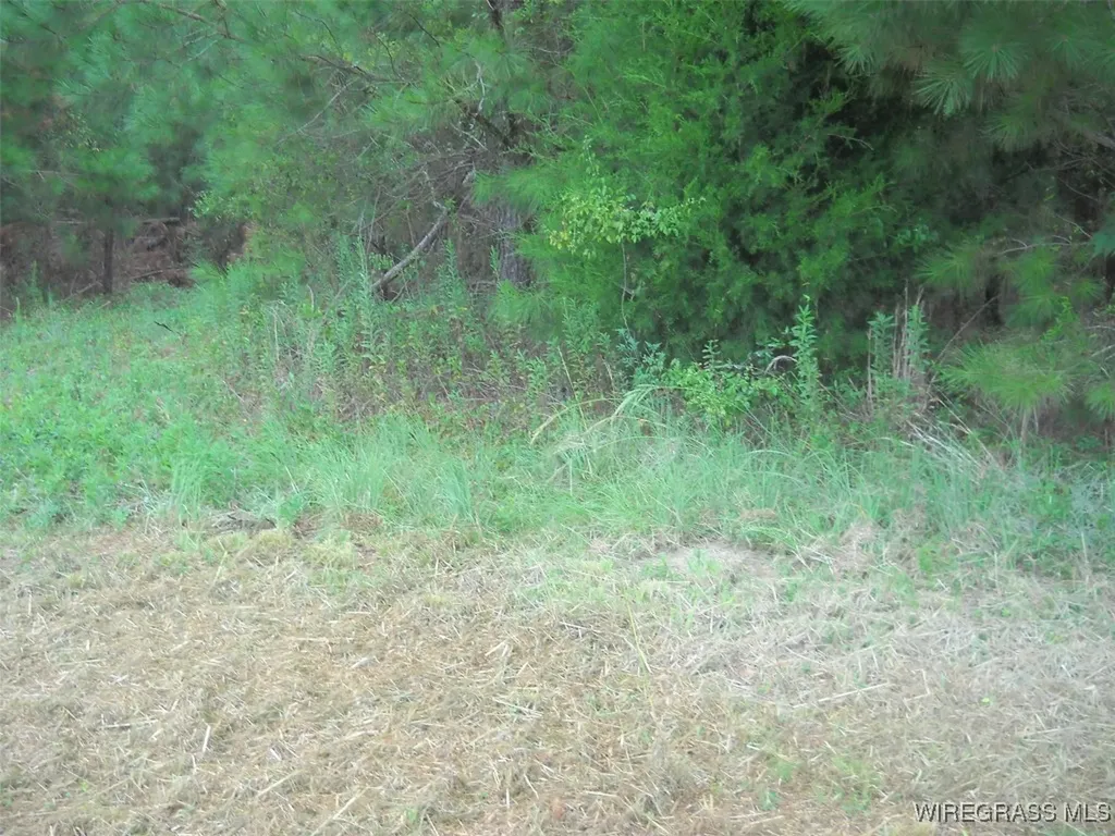 0 Highway 231 Ozark AL 36360