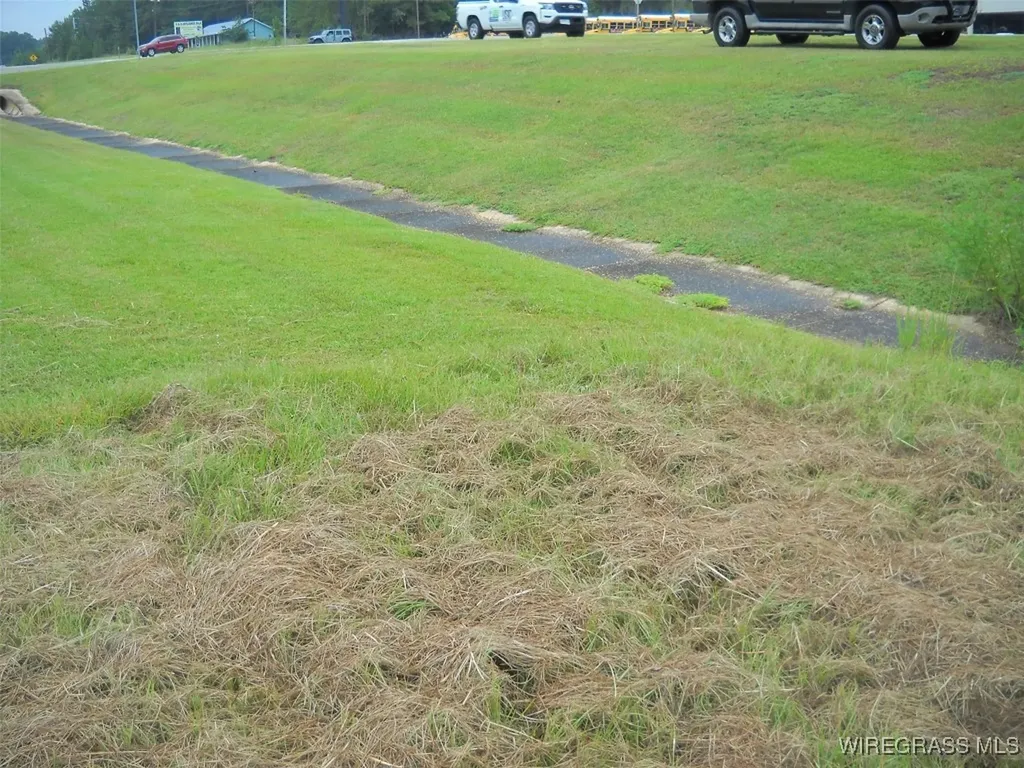 0 Highway 231 Ozark AL 36360
