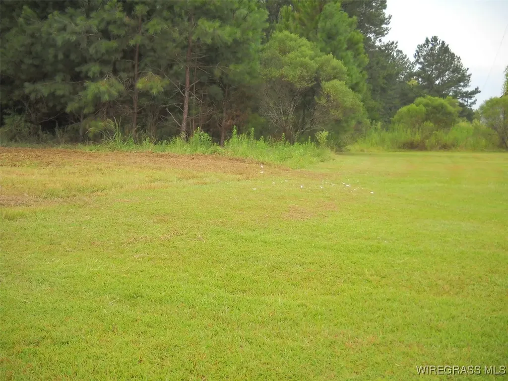 0 Highway 231 Ozark AL 36360