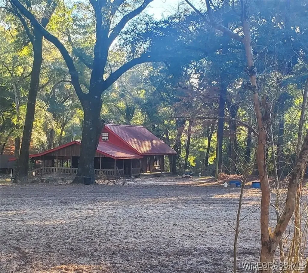 315 Barnes Mill Road Hartford AL 36344