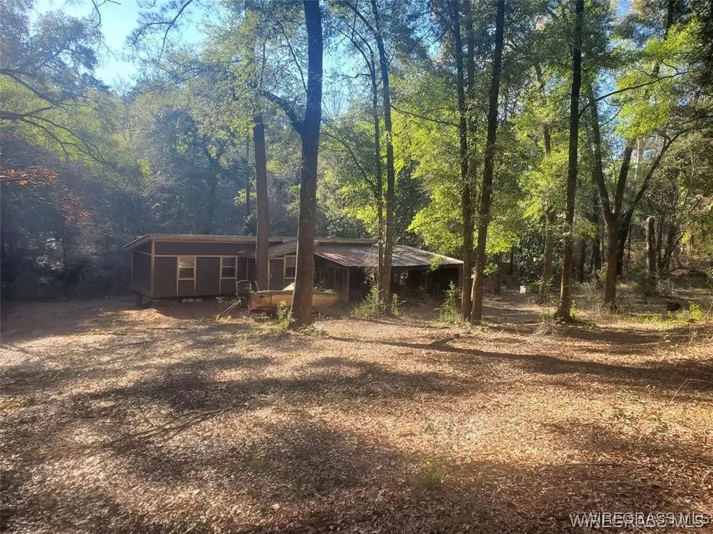 315 Barnes Mill Road Hartford AL 36344