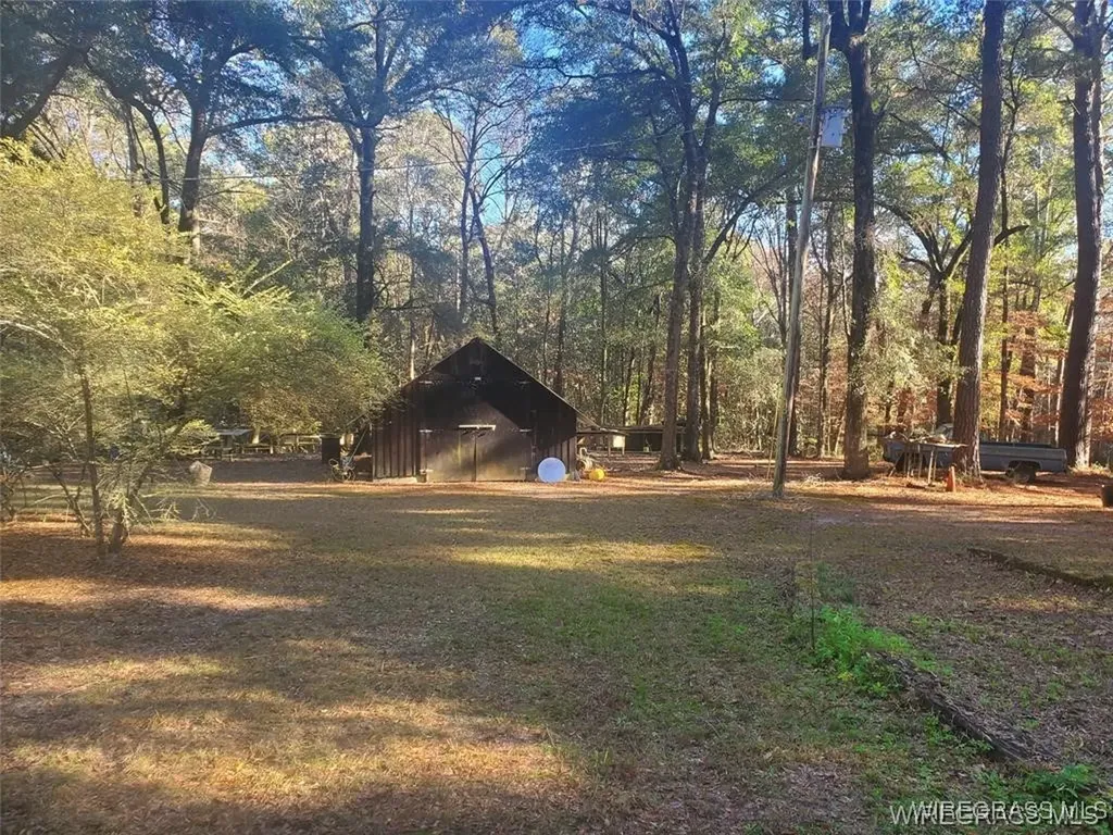 315 Barnes Mill Road Hartford AL 36344