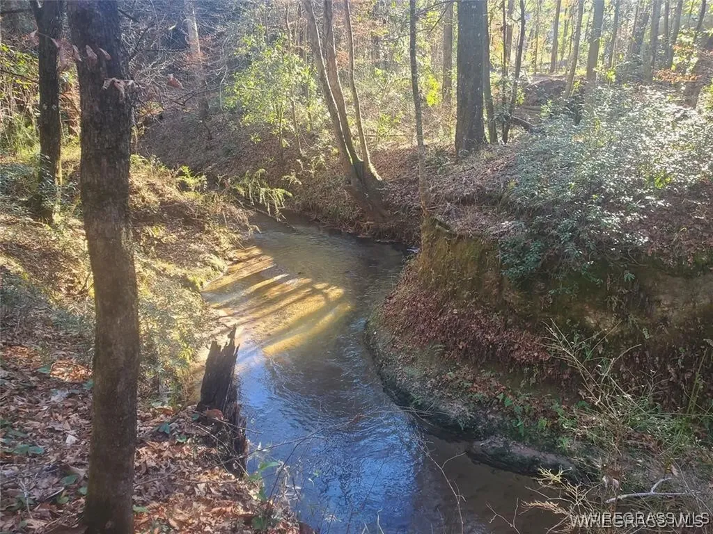 315 Barnes Mill Road Hartford AL 36344