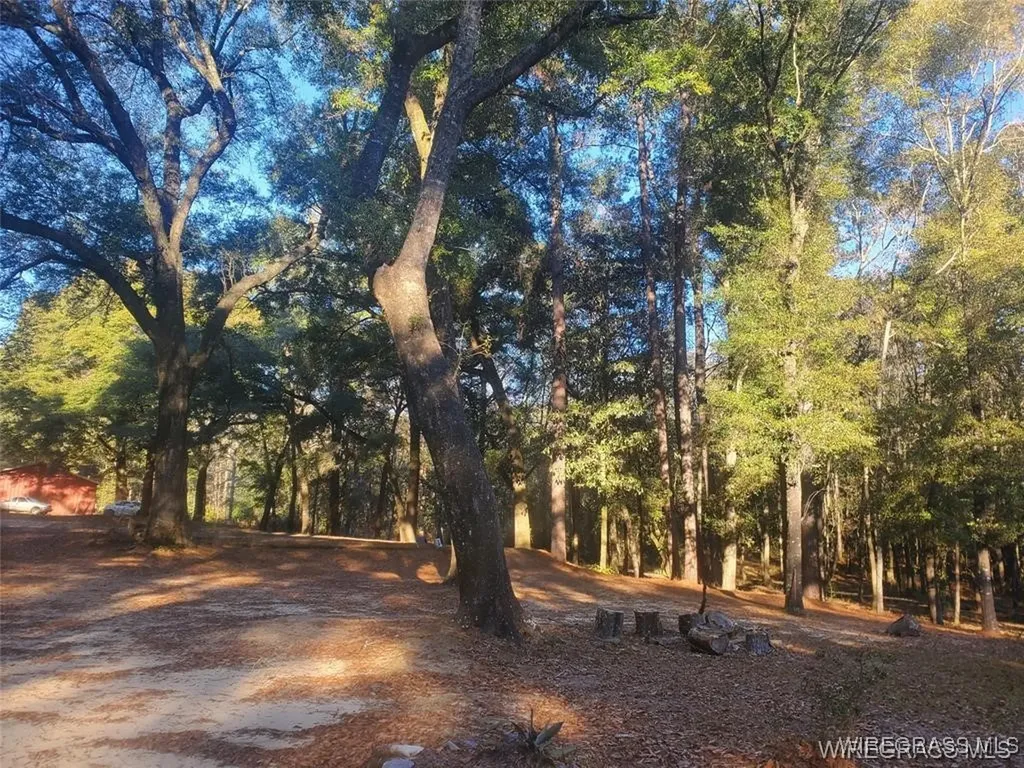 315 Barnes Mill Road Hartford AL 36344