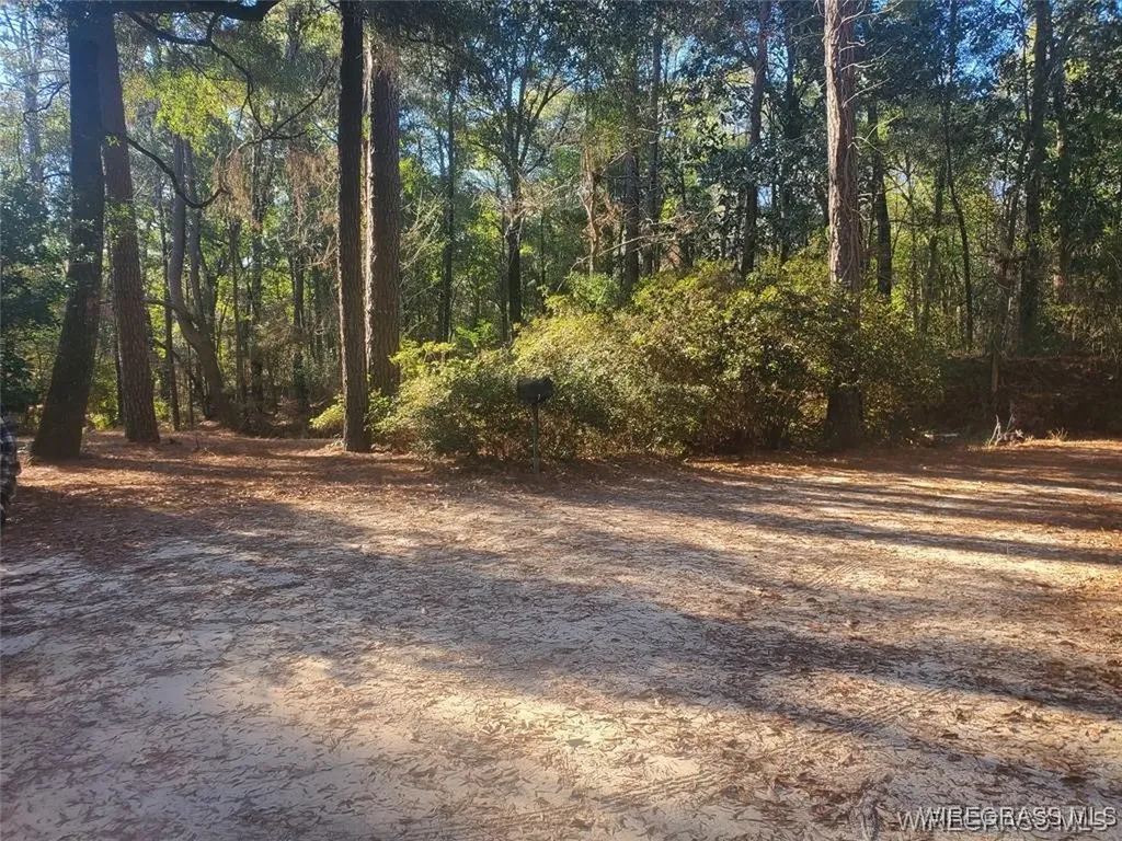 315 Barnes Mill Road Hartford AL 36344