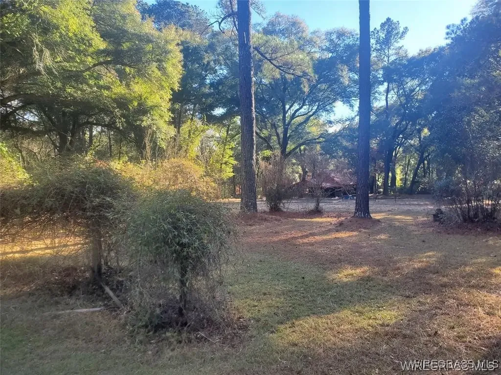 315 Barnes Mill Road Hartford AL 36344