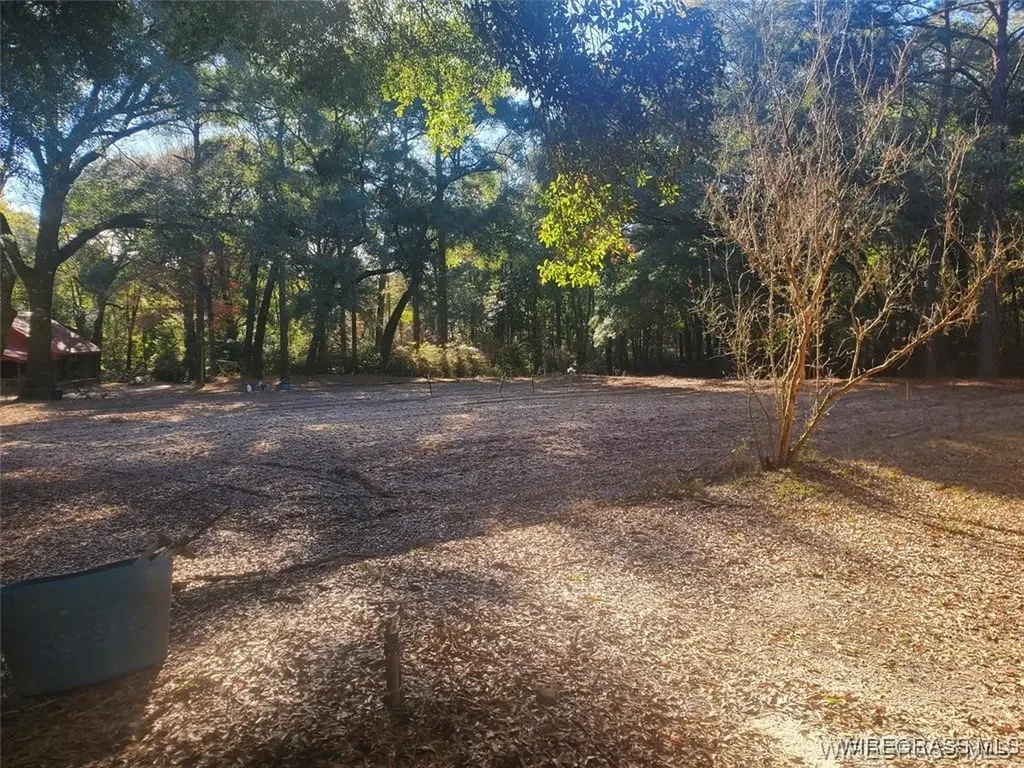 315 Barnes Mill Road Hartford AL 36344